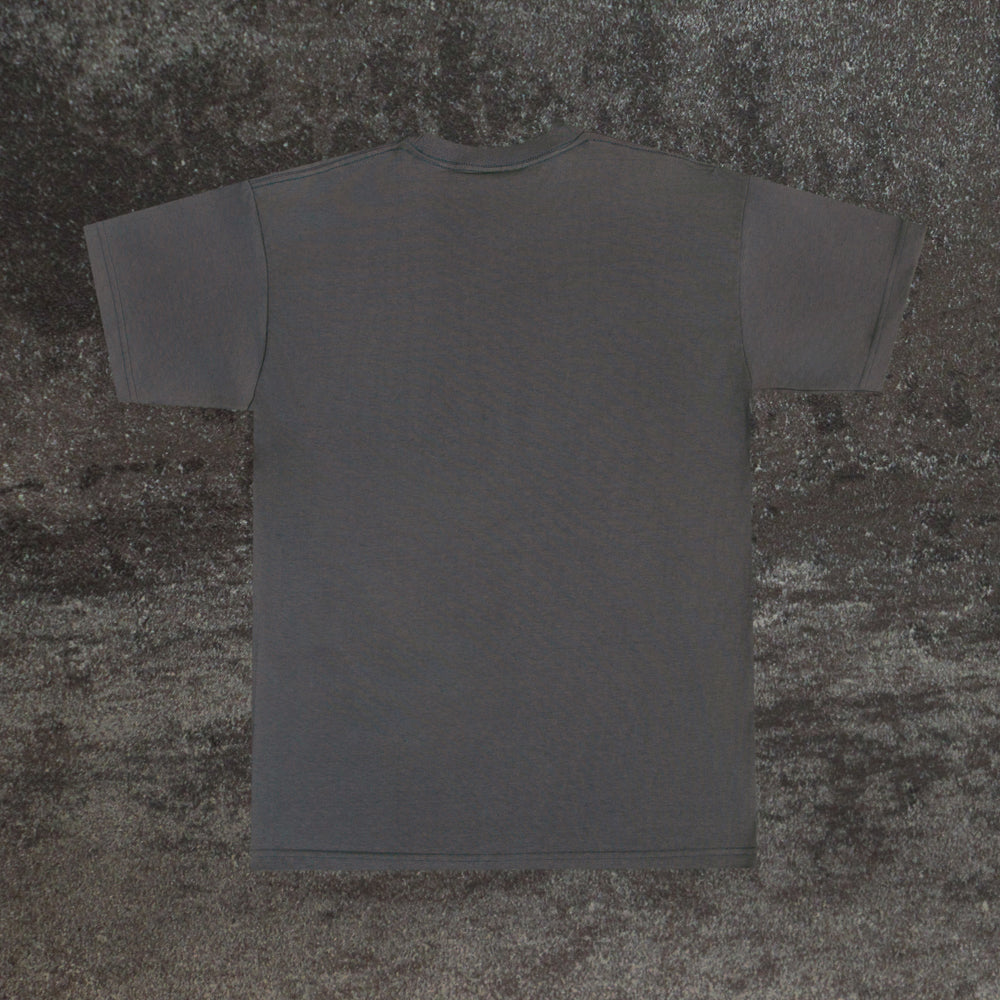 Empire in Decline T-Shirt